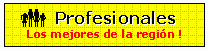 PROFESIONALES