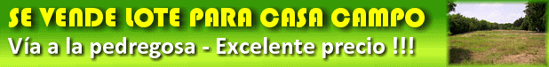Ver detalles